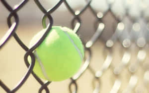 A Fresh, Bouncy Tennis Ball Awaiting Its Next Game. Wallpaper