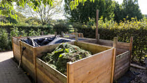 A Fresh Compost Pile In A Garden Setting Wallpaper