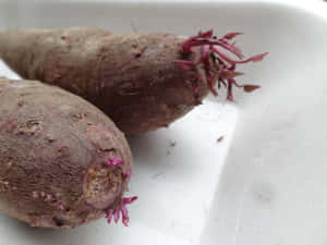 A Fresh, Purple Sweet Potato Ready To Be Cooked! Wallpaper