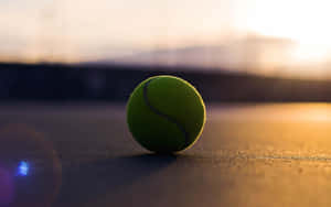 A Fresh Tennis Ball Lying On A Grass Field Ready For Play Wallpaper