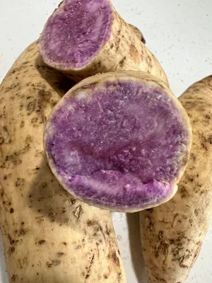A Freshly Harvested Purple Sweet Potato Wallpaper