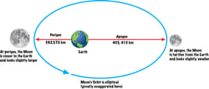 A Full Moon At Its Perigee Wallpaper