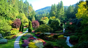 A Garden With Many Colorful Flowers And Trees Wallpaper