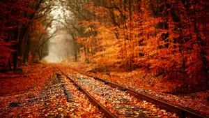 A Gentle Autumn Breeze Wallpaper