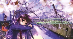 A Girl Is Sitting On A Bridge Under Cherry Blossoms Wallpaper