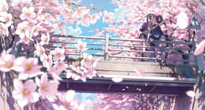 A Girl Is Standing On A Bridge With Cherry Blossoms Wallpaper