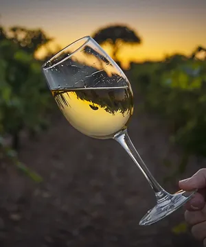 A Glass Of Chilled White Wine Perfect For Any Gathering Or Occasion. Wallpaper