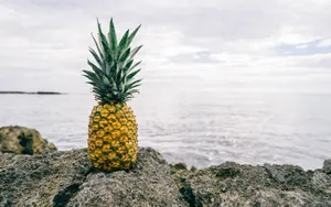 A Golden Pineapple Resting On A Rocky Shore On A Sunny Day. Wallpaper