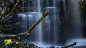 A Golden Sunset Over The Pacific Ocean Wallpaper
