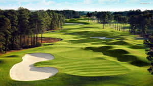 A Golf Course With A Green Sand Bunker Wallpaper