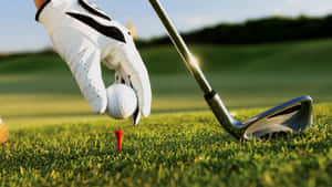 A Golfer Sets Up A Shot On A Sunny Day Wallpaper