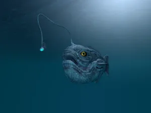 A Graceful Dance Under The Sea Wallpaper