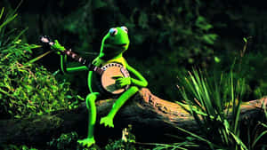 A Green Frog Is Playing A Banjo On A Log Wallpaper