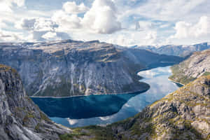 A Green Meadow Full Of White Daisies And Grass; Wallpaper