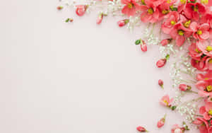 A Grey Cat Sitting On A Windowsill Wallpaper
