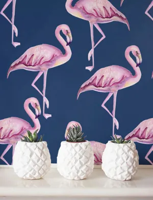 A Group Of Beautiful Pink Flamingos Standing In Shallow Water Wallpaper