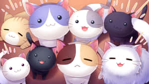 A Group Of Cats With Their Faces Up Wallpaper