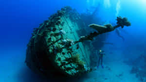 A Group Of Divers Are Scuba Diving Near A Wreck Wallpaper