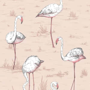 A Group Of Graceful Pink Flamingos Wallpaper