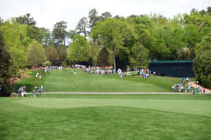 A Group Of People Walking Down A Green Golf Course Wallpaper