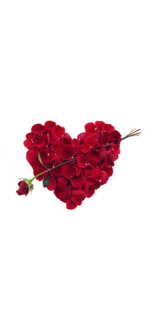 A Heart Shaped Arrangement Of Red Rose Petals Wallpaper