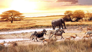 A Herd Of Elephants In The Serengeti Wallpaper