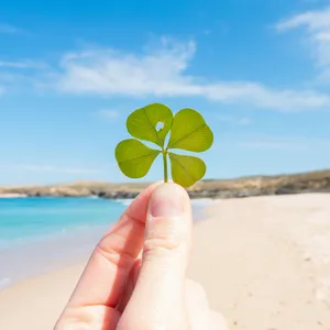 A Horseshoe Amulet On A Rustic Wooden Background Wallpaper