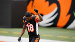 A J Green Celebration Bengals Uniform Wallpaper