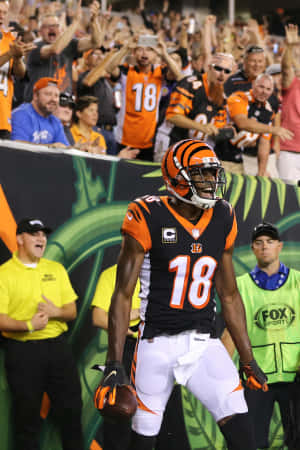 A J Green Celebration Cincinnati Bengals Wallpaper