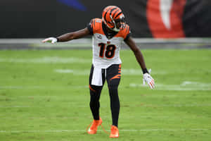 A J Green Cincinnati Bengals Game Action Wallpaper