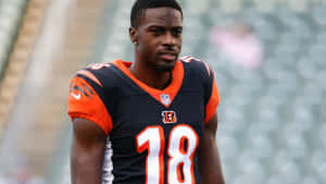 A J Green Cincinnati Bengals Uniform Wallpaper