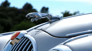 A Jaguar Hood Ornament Wallpaper