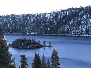 A Lake Surrounded By Trees And Snow Wallpaper