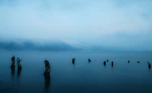 A Lake With Some Old Wooden Posts In The Water Wallpaper