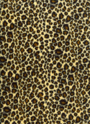 A Leopard Print Fabric With Black Spots Wallpaper