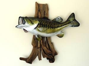 A Lifeless Largemouth Bass Wallpaper