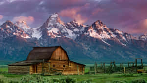 A Lively Meadow Of Green Grass And Wildflowers At A Ranch Wallpaper