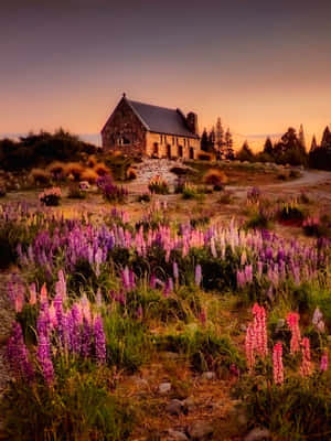 A Lone Mountain Peak In A Starkly Picturesque Landscape Wallpaper