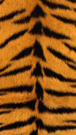 A Long Road Ahead Wallpaper