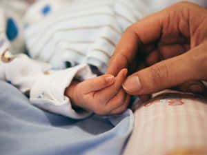 A Lovely Picture Of Tangible Touching Of Hand Of A Parent To The Little Hand Of Baby Wallpaper