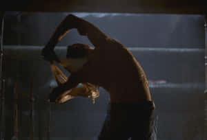 A Magical Shapeshifter Transforming In A Mystical Forest Wallpaper