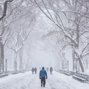 A Magical Snowstorm Sweeping Over A Misty, Snow-covered Forest. Wallpaper