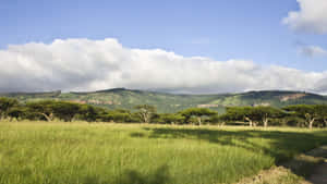 A Magnificent African Landscape Wallpaper