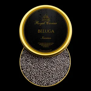 A Magnificent Horse On A Race Track Wallpaper