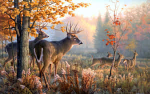 A Majestic And Refined Deer Grazing In The Field Wallpaper