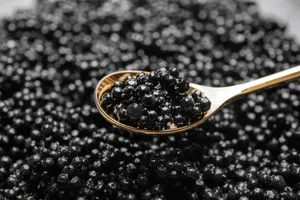 A Majestic Black Caviar Horse Galloping Across The Field Wallpaper