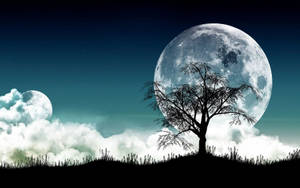 A Majestic Full Moon Shining High In The Night Sky Wallpaper