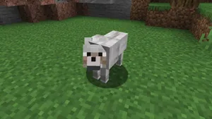 A Majestic Minecraft Wolf In The Wild Wallpaper