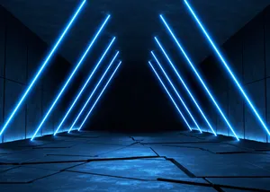 A Majestic Red Rose In Full Bloom Wallpaper