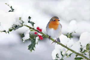 A Majestic Snow Bird Perched On A Frosty Tree Branch Wallpaper